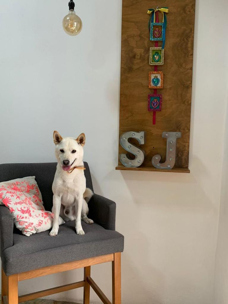 Santa Josefita B&B Cholula Bagian luar foto