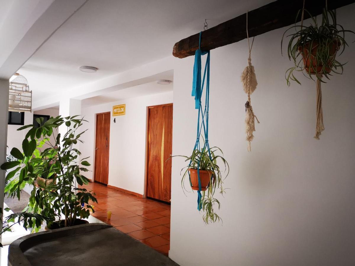 Santa Josefita B&B Cholula Bagian luar foto